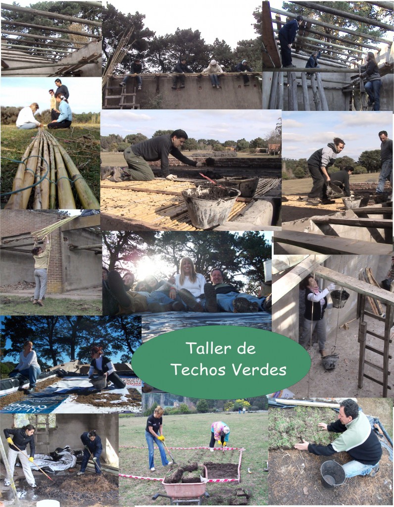 Taller de Techos Verdes