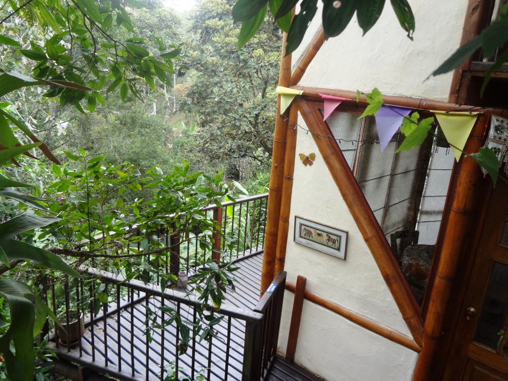 Balcon a la selva