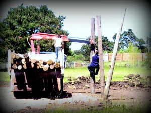 Llegan los postes.....
manos ala obra