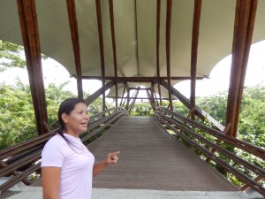 Erica Sanchez
Te conocen en Colombia por el Puente de Guadua, Símbolo de la ciudad de Cúcuta, pero toda tu obra en bambú y el  proyecto del colegio FACE al que dia a dia agregas nuevas y hermosas construcciones te proyectan entre los grandes de la construcción natural.