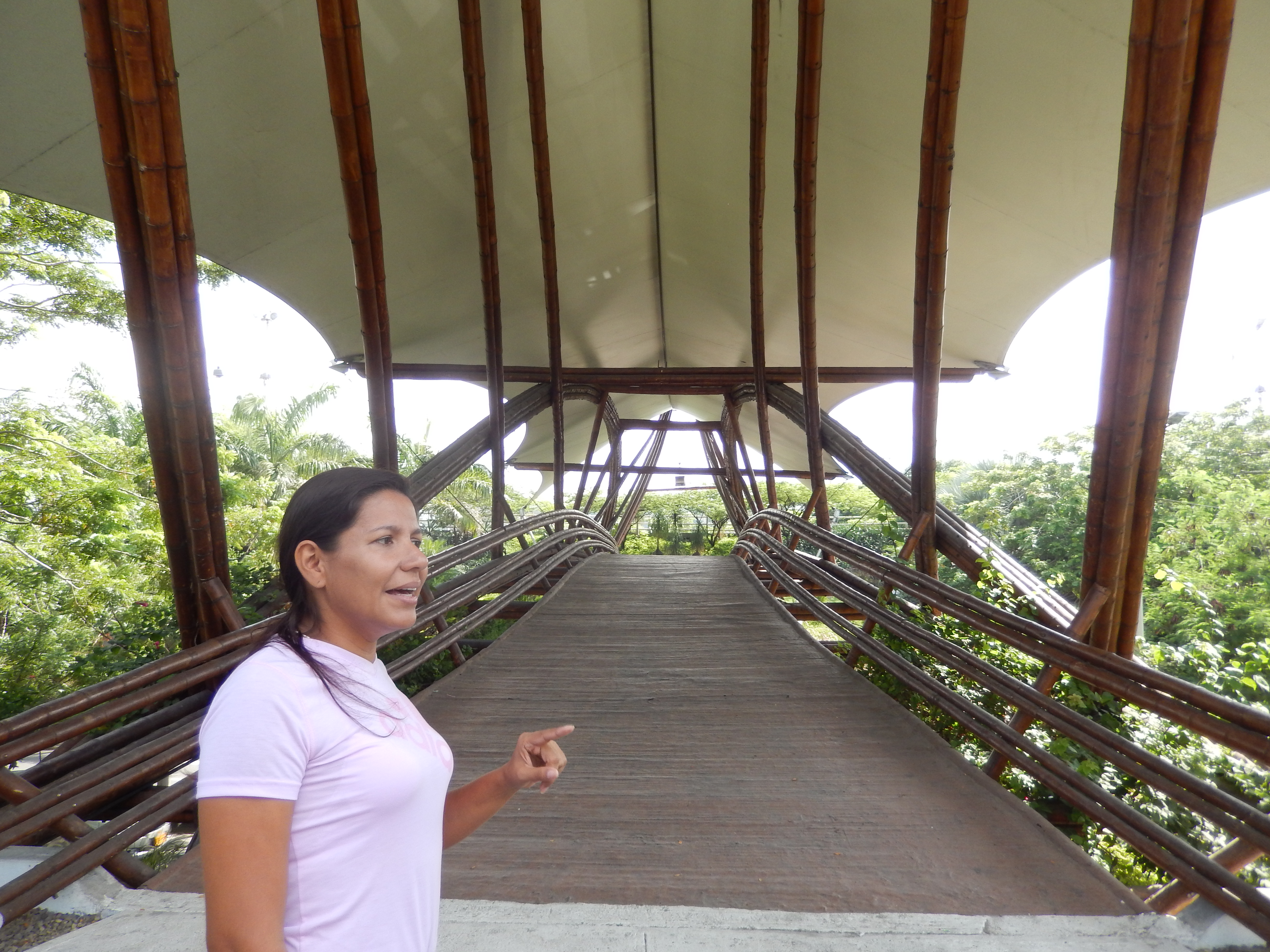 Erica Sanchez
Te conocen en Colombia por el Puente de Guadua, Símbolo de la ciudad de Cúcuta, pero toda tu obra en bambú y el  proyecto del colegio FACE al que dia a dia agregas nuevas y hermosas construcciones te proyectan entre los grandes de la construcción natural.