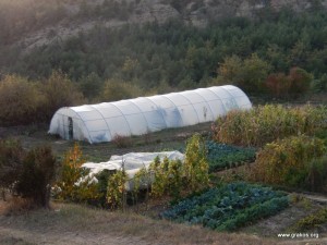 Huerta e invernadero